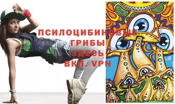 mdpv Армянск