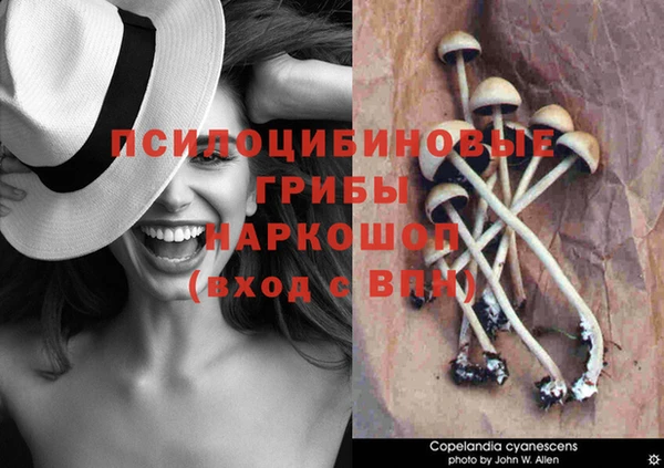 бутик Арсеньев