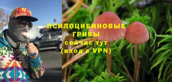 MESCALINE Аркадак