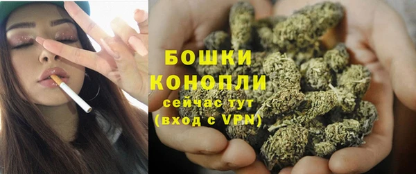 MESCALINE Аркадак