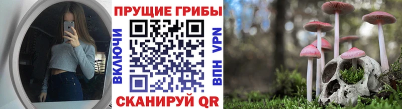 Купить  Семикаракорск  Псилоцибиновые грибы GOLDEN TEACHER 